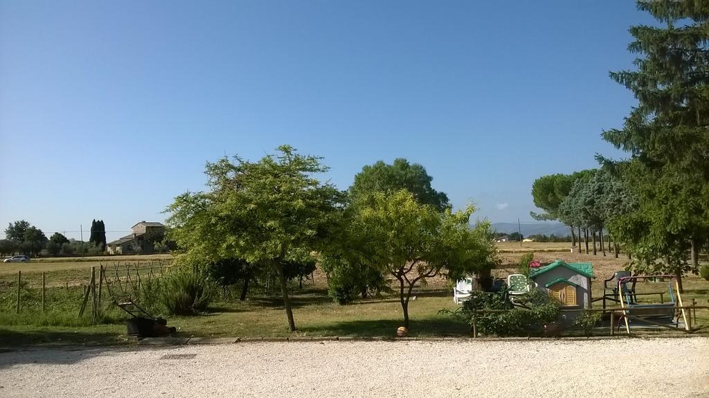 La Cantina Via Campiglione Di Assisi Bastia Umbra