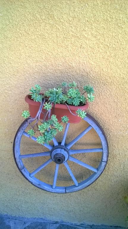 La Cantina Via Campiglione Di Assisi Country house Bastia Umbra
